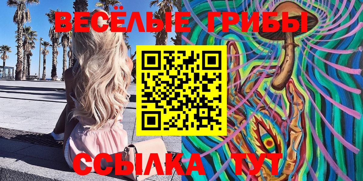 Дятьково  Псилоцибиновые грибы мицелий  Вход с VPN 